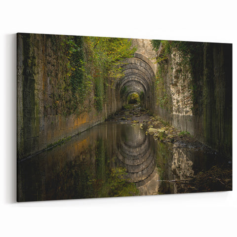 Ancient Ruins Wall Art - Overgrown Tunnel Canvas & Framed Prints