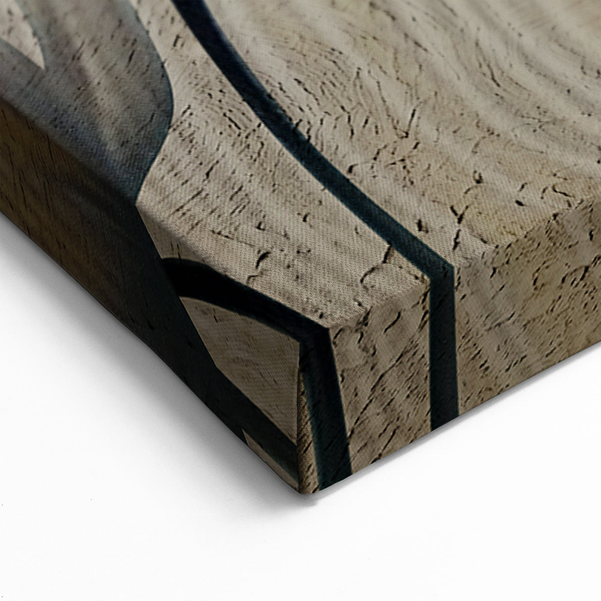 Teal and White Floral Art - Modern Abstract Flowers Canvas Print