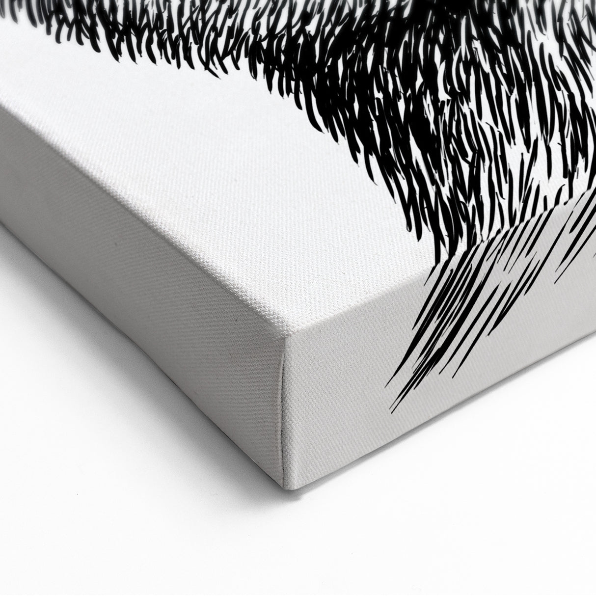 Stylish Kangaroo Wall Art - Fun Wildlife Animal Canvas Decor