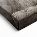 Majestic Kangaroo Wall Art - Australian Wildlife Nature Canvas Decor