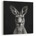 Elegant Kangaroo Portrait - Australian Wildlife Black and White Art