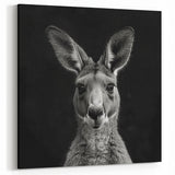 Elegant Kangaroo Portrait - Australian Wildlife Black and White Art