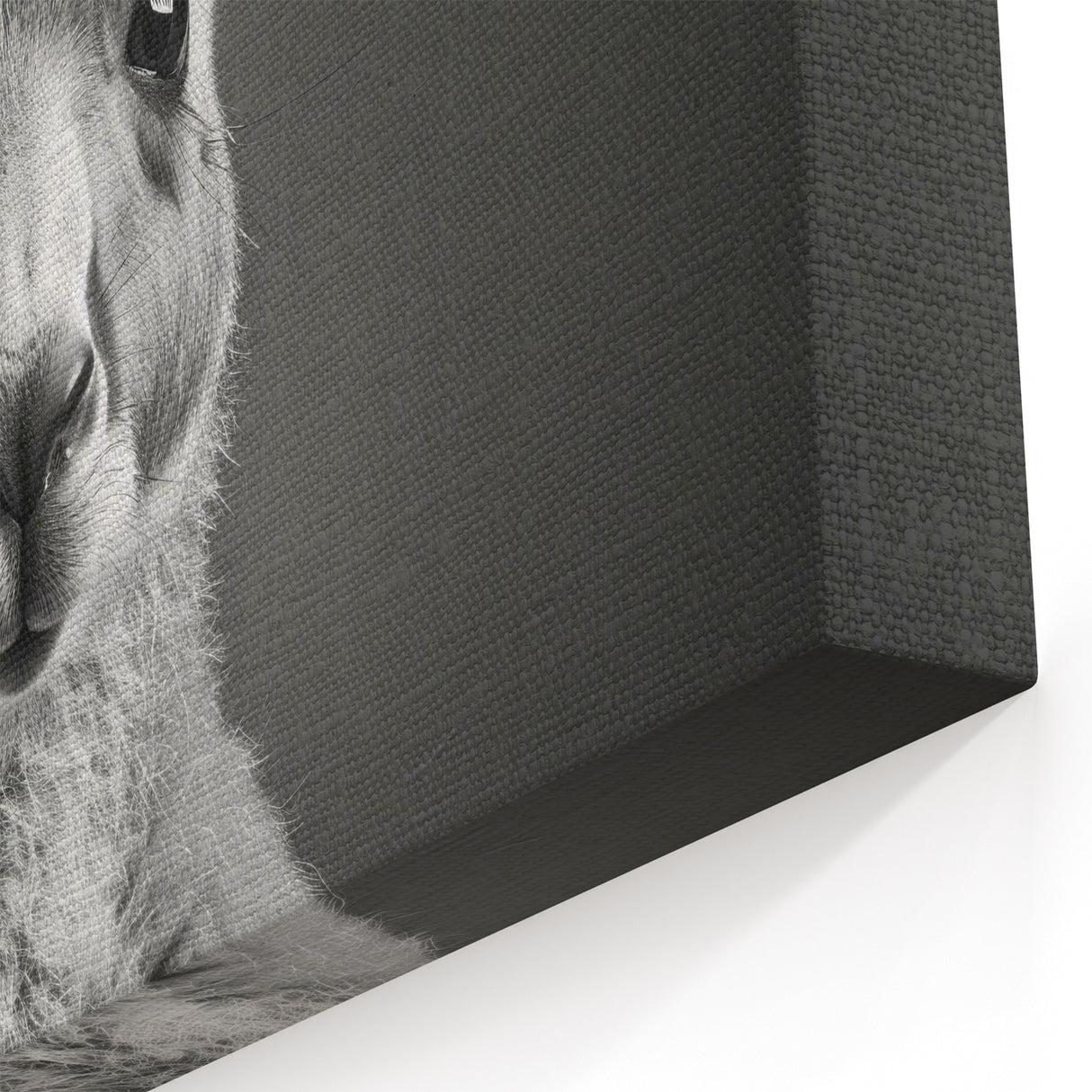 Chic Kangaroo Wall Art - Australian Wildlife Minimalist Canvas Decor