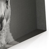 Chic Kangaroo Wall Art - Australian Wildlife Minimalist Canvas Decor