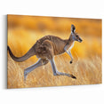 Graceful Kangaroo Wall Art - Australian Wildlife Animal Canvas Decor