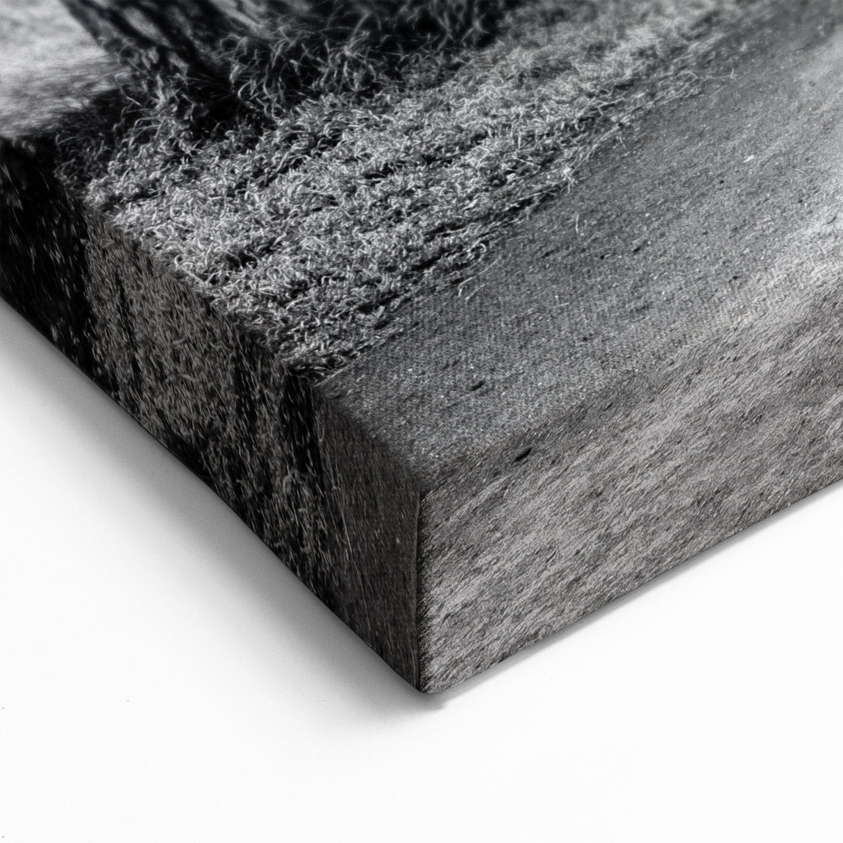 Historic Roman Arches Wall Art - Timeless Architecture Canvas Print