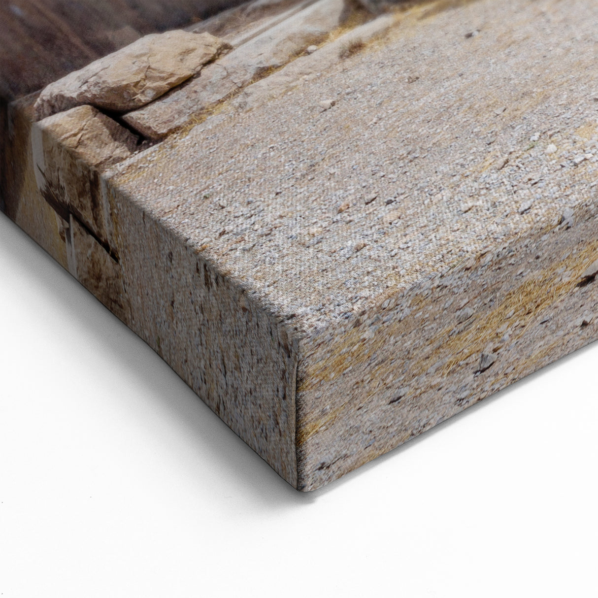 Ancient Ruins Wall Art - Persian Stone Temple Canvas & Framed Prints