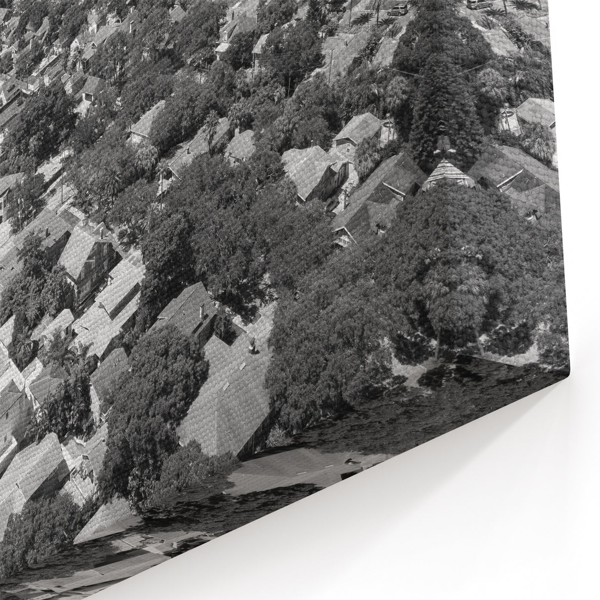 Tampa Bay Wall Art - Classic Black and White Coastal View