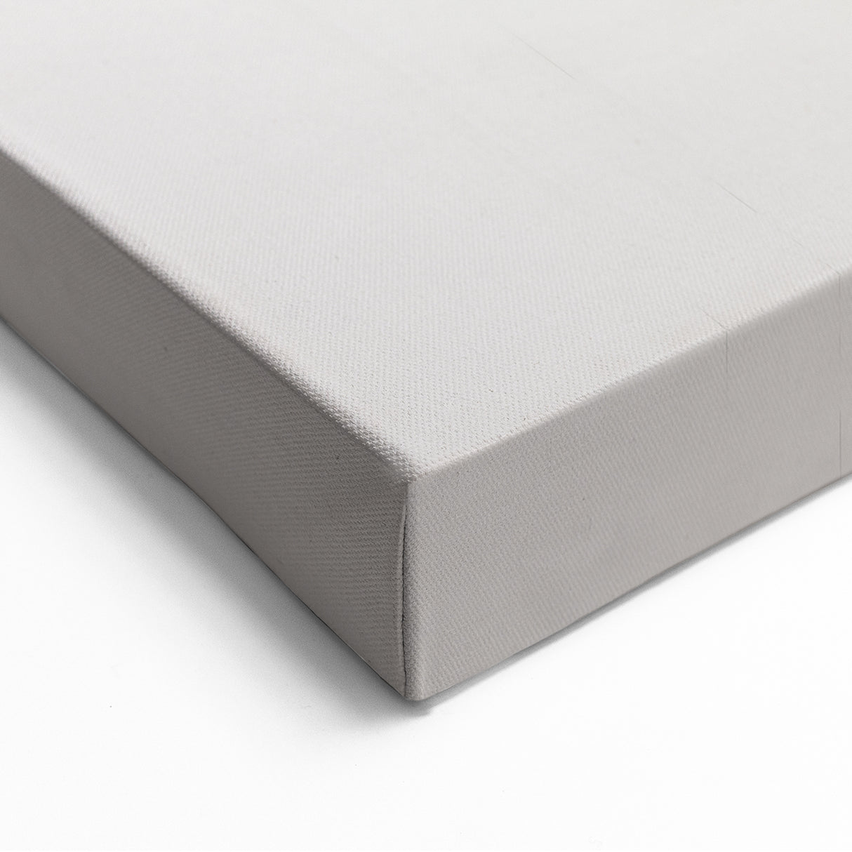 Minimalist Abstract Art - Modern Line Botanical Design - Simple Wall Decor