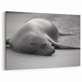 Tranquil Sea Lion Wall Art - Peaceful Marine Life Canvas & Framed Prints