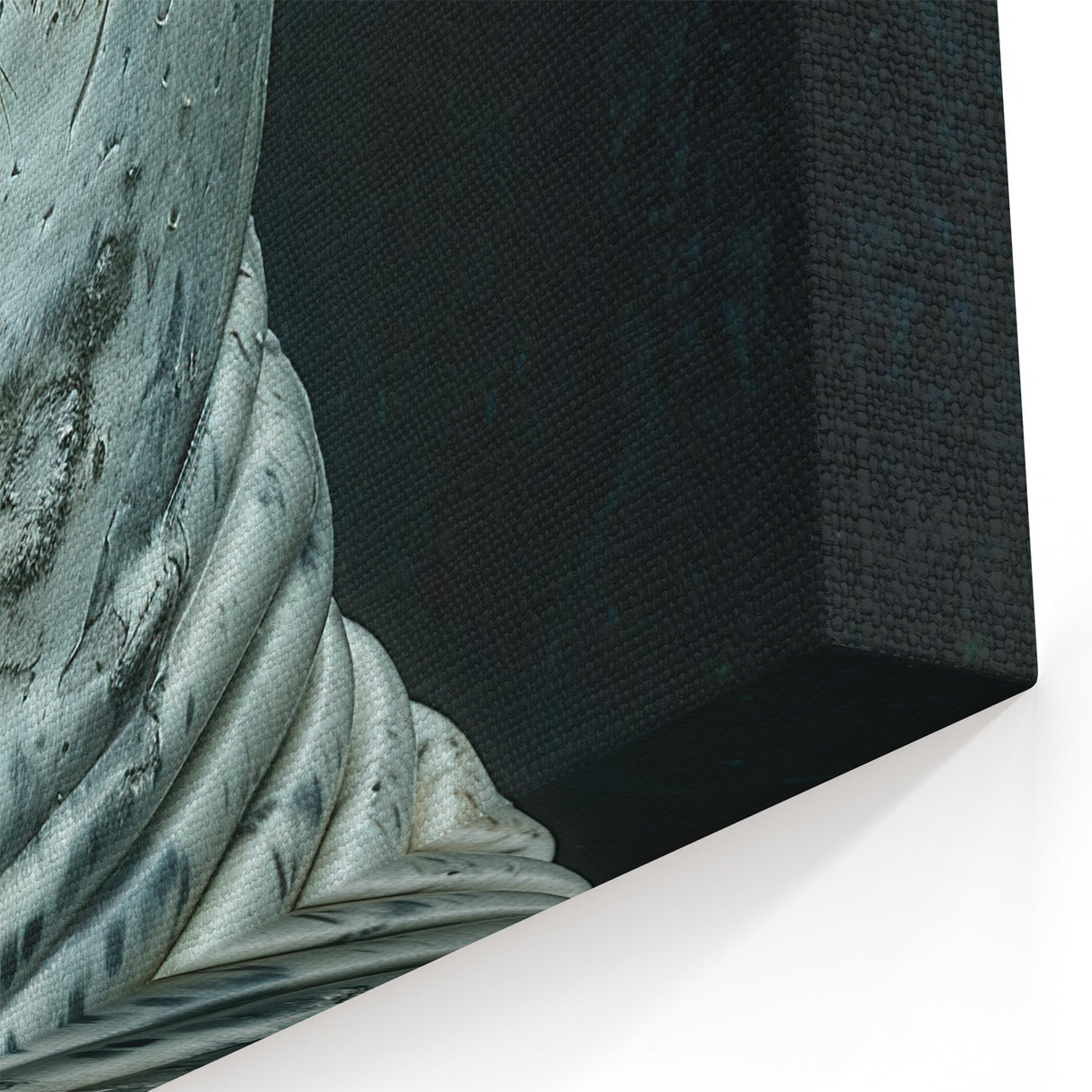 Serene Sea Lion Wall Art - Majestic Marine Life Canvas & Framed Prints