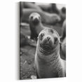 Charming Sea Lion Wall Art - Playful Marine Life Canvas & Prints