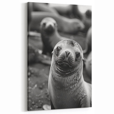 Charming Sea Lion Wall Art - Playful Marine Life Canvas & Prints