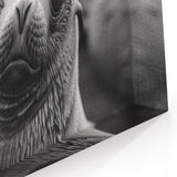 Charming Sea Lion Wall Art - Playful Marine Life Canvas & Prints