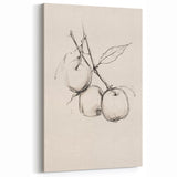 Minimalist Abstract Art - Elegant Fruit Sketch - Contemporary Wall Decor