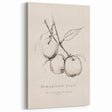 Minimalist Fruit Art - Homegrown Fruit Sketch - Elegant Wall Decor