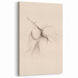 Minimalist Fruit Art - Delicate Sketch Design - Elegant Wall Decor