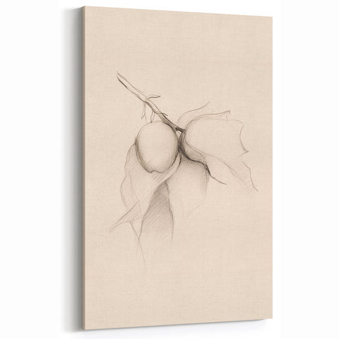 Minimalist Fruit Art - Delicate Sketch Design - Elegant Wall Decor
