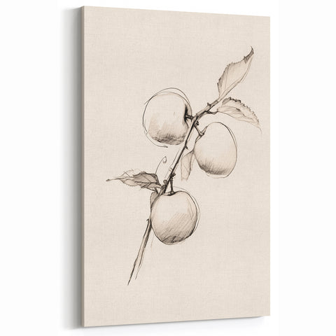 Minimalist Fruit Art - Detailed Apple Sketch - Elegant Wall Decor