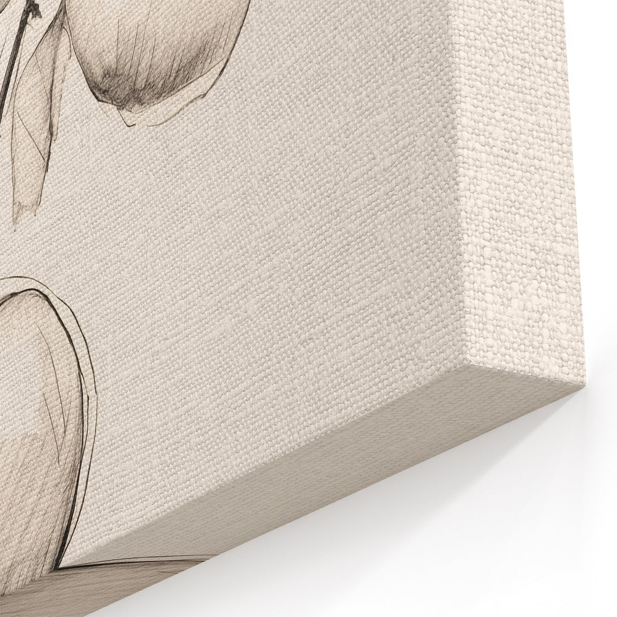 Minimalist Fruit Art - Detailed Apple Sketch - Elegant Wall Decor