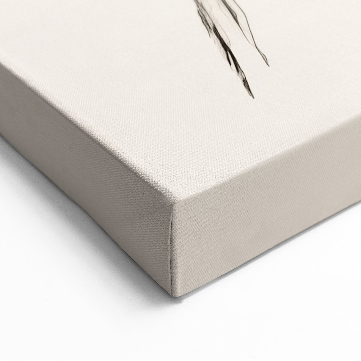 Minimalist Fruit Art - Detailed Apple Sketch - Elegant Wall Decor