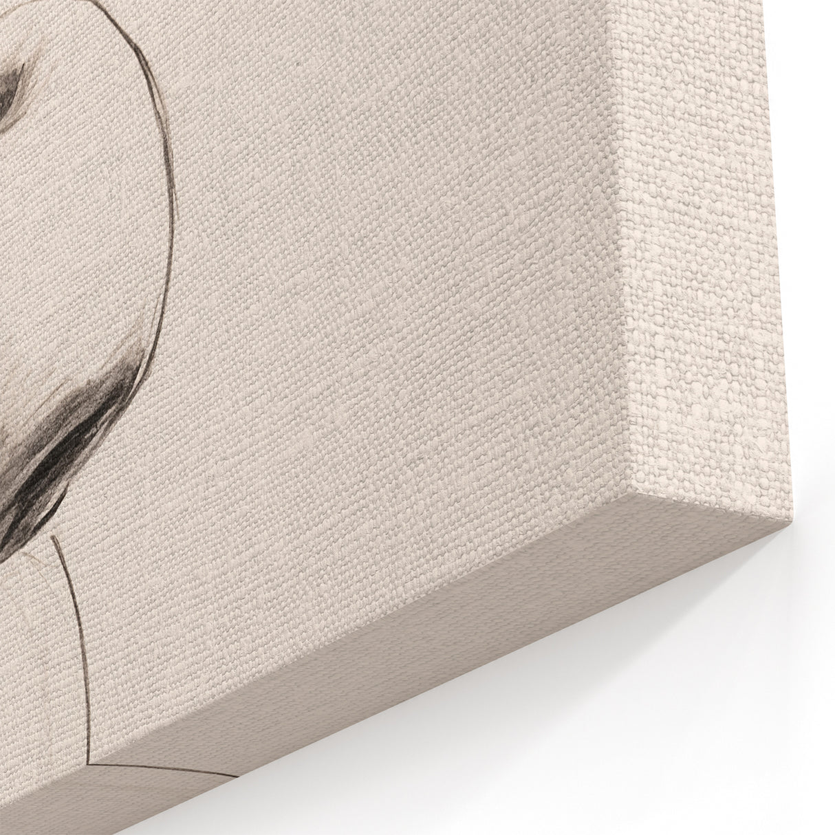 Minimalist Apple Art - Elegant Fruit Sketch - Modern Wall Decor