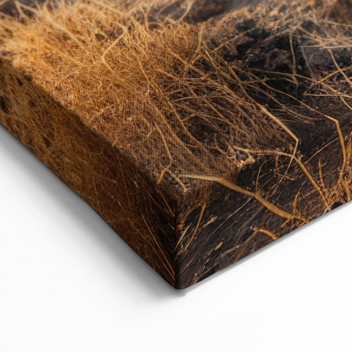 Ancient Desert Ruins Wall Art - Crumbling Arches at Sunset Canvas