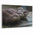 Playful Sea Otters Wall Art - Marine Wildlife Canvas & Framed Prints