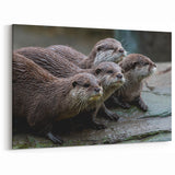 Playful Sea Otters Wall Art - Marine Wildlife Canvas & Framed Prints