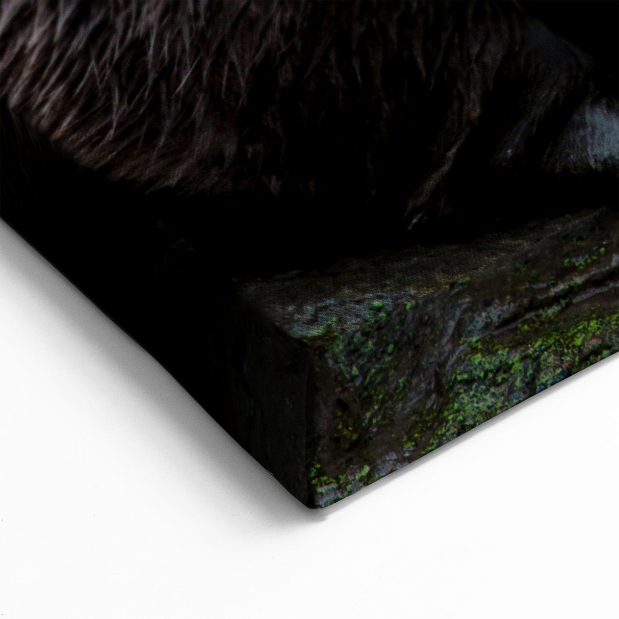 Playful Sea Otters Wall Art - Marine Wildlife Canvas & Framed Prints