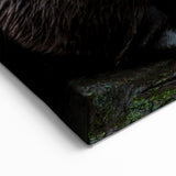 Playful Sea Otters Wall Art - Marine Wildlife Canvas & Framed Prints