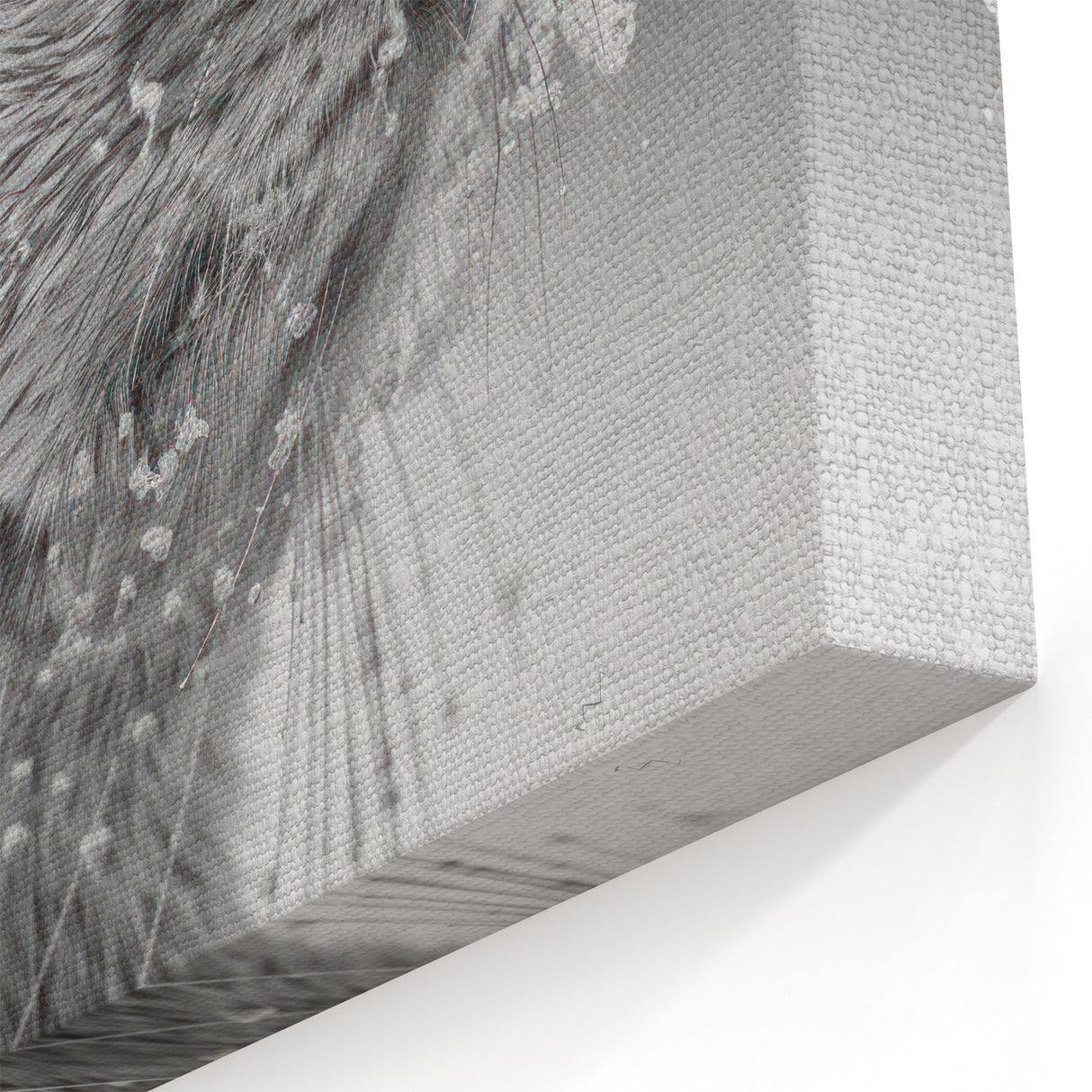 Winter Sea Otter Wall Art - Elegant Marine Life Canvas & Framed Prints