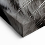 Stunning White Tiger Wall Art - Elegant Wildlife Decor in Canvas & Prints.