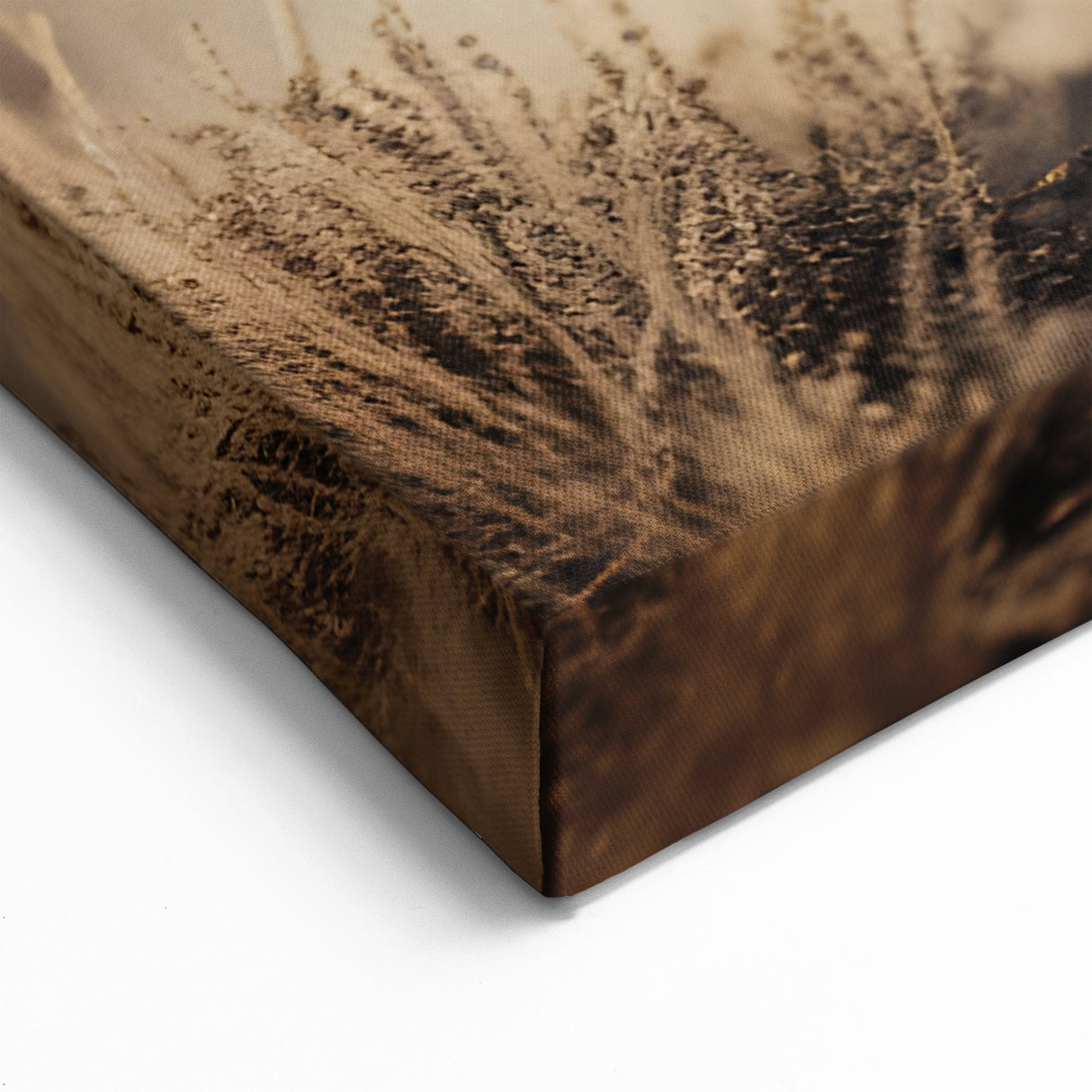 Dynamic Tiger Wall Art - Powerful Wildlife Decor in Canvas & Prints.