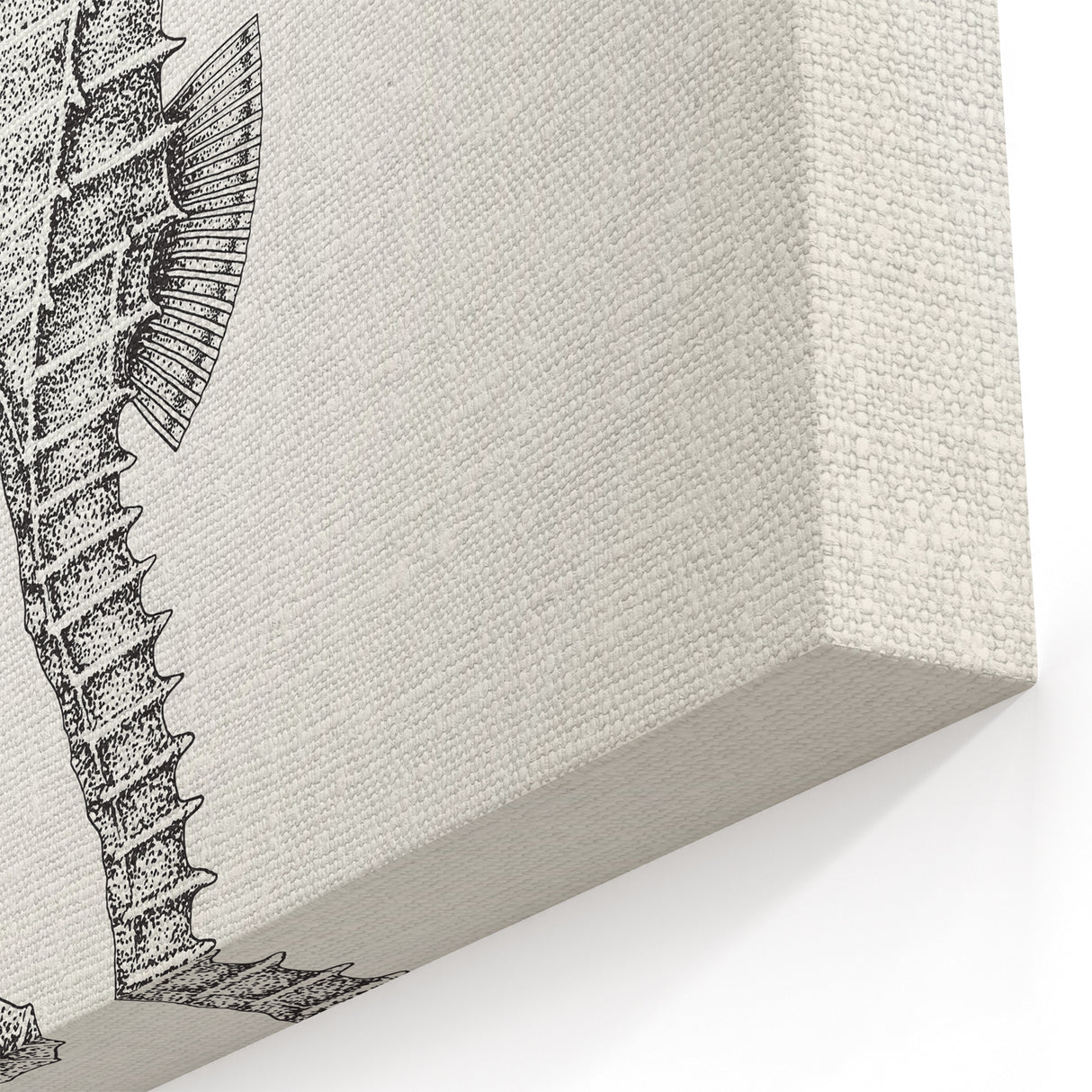 Intricate Seahorse Wall Art - Black & White Canvas, Framed & Acrylic Print