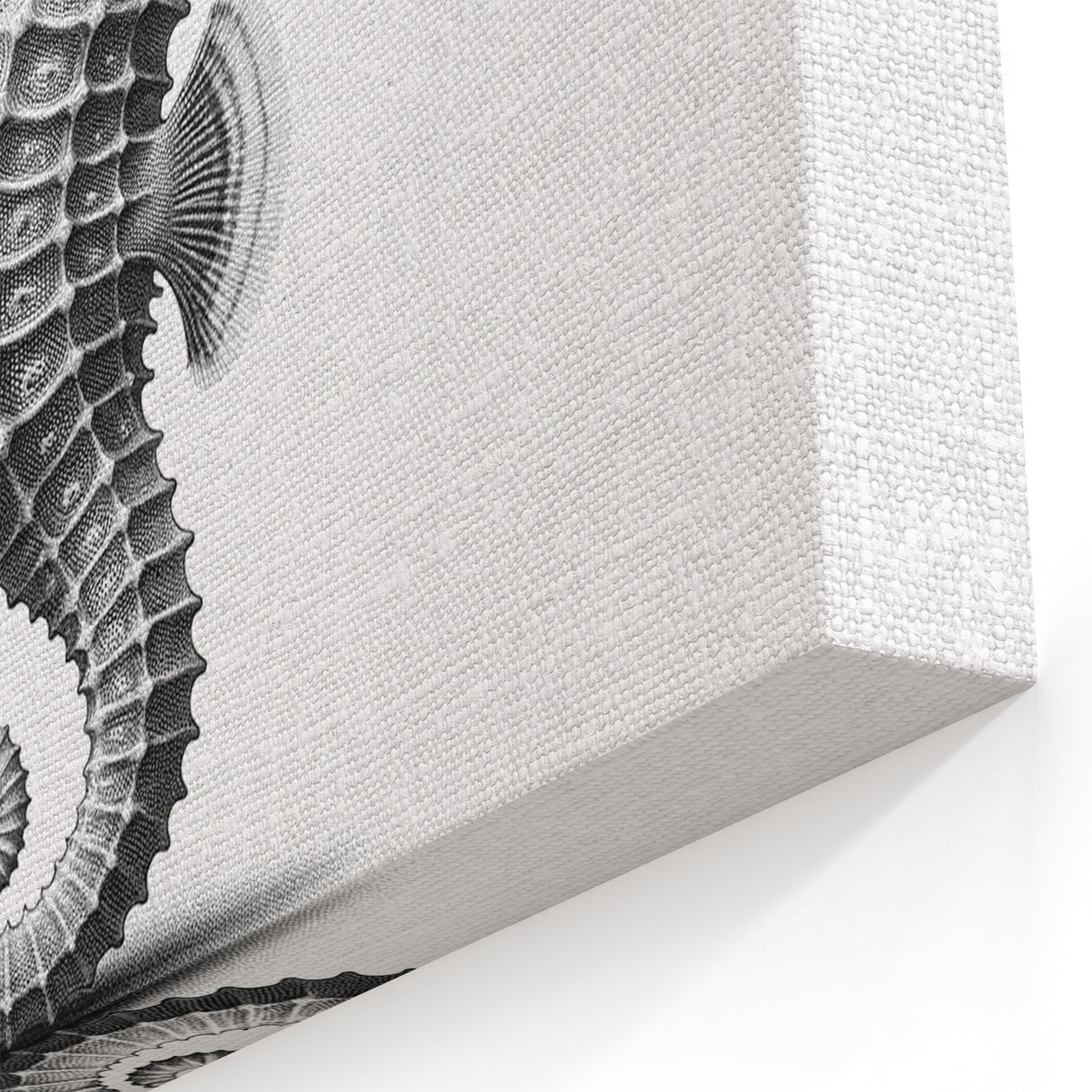 Monochrome Seahorse Wall Art - Elegant Black & White Canvas Print