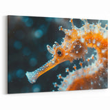 Macro Seahorse Wall Art - Detailed Canvas, Framed & Acrylic Glass Print
