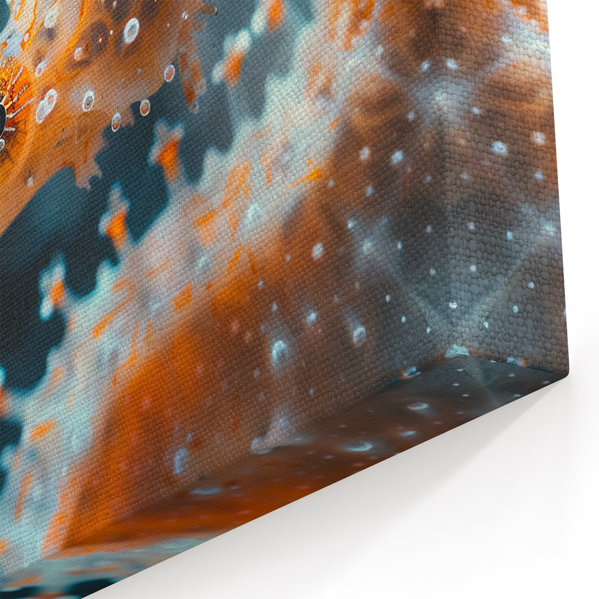 Macro Seahorse Wall Art - Detailed Canvas, Framed & Acrylic Glass Print