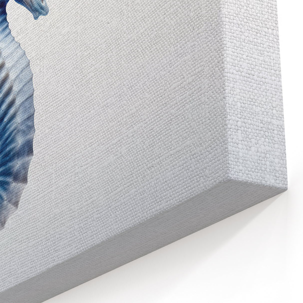 Serene Seahorse Wall Art - Soft Blue & White Canvas, Framed Print