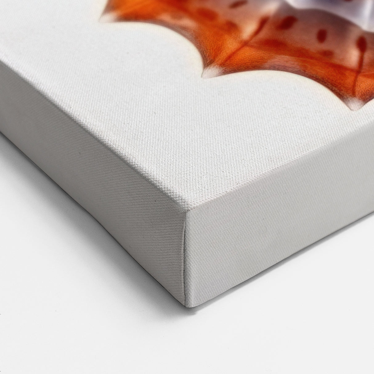 Colorful Seahorse Wall Art - Vibrant Red & Blue Canvas, Framed Print