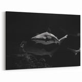 Elegant Black & White Shark Wall Art - Marine Life Canvas Decor