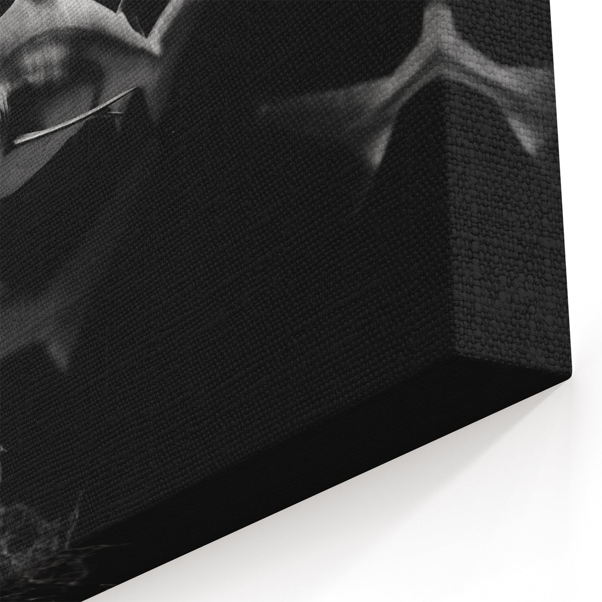 Elegant Black & White Shark Wall Art - Marine Life Canvas Decor