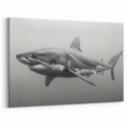Bold Shark Wall Art - Marine Life Canvas & Framed Black & White Print