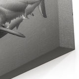 Bold Shark Wall Art - Marine Life Canvas & Framed Black & White Print