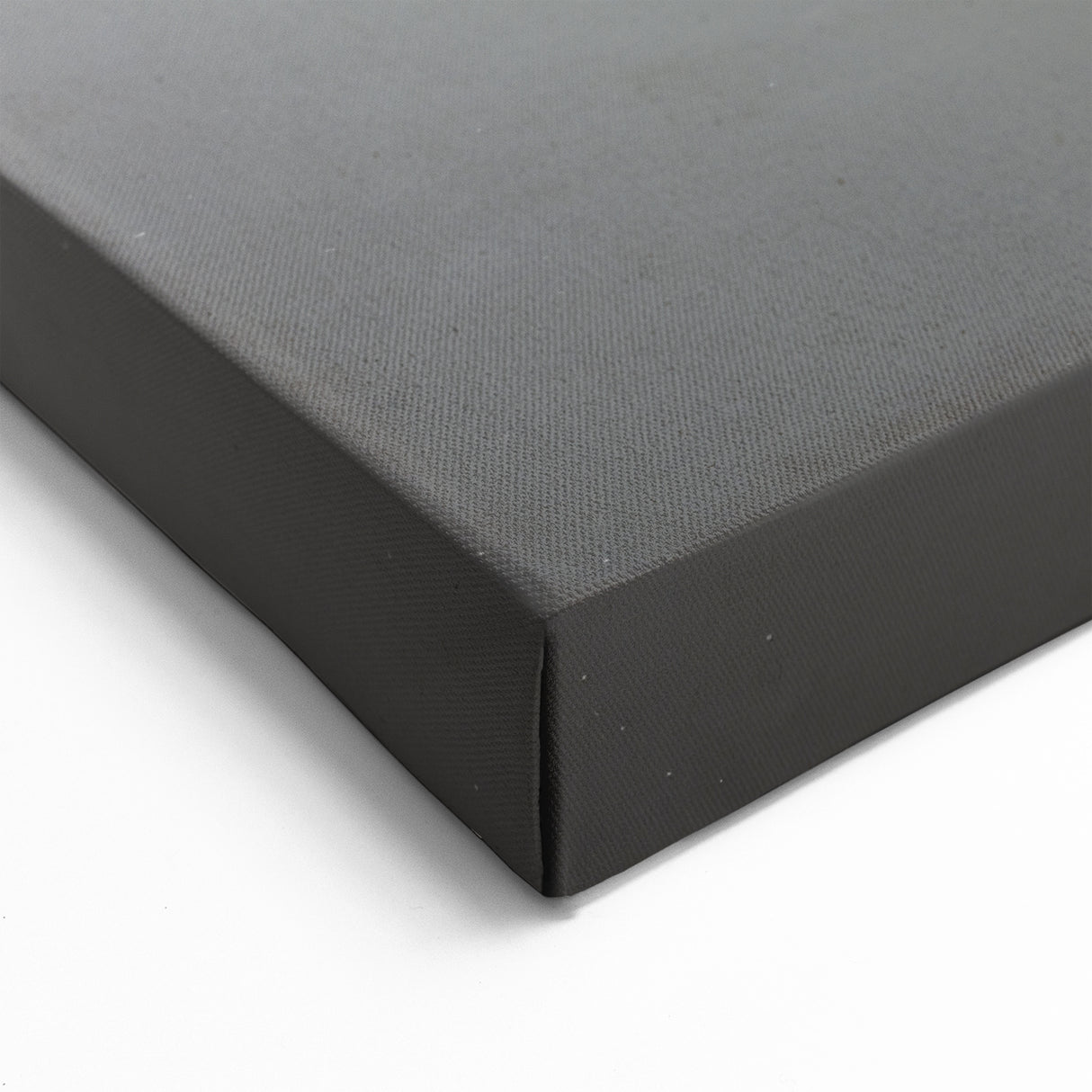 Bold Shark Wall Art - Marine Life Canvas & Framed Black & White Print