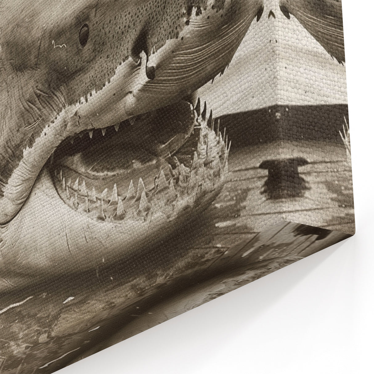 Vintage Shark Wall Art - Historic Marine Life Canvas & Framed Print