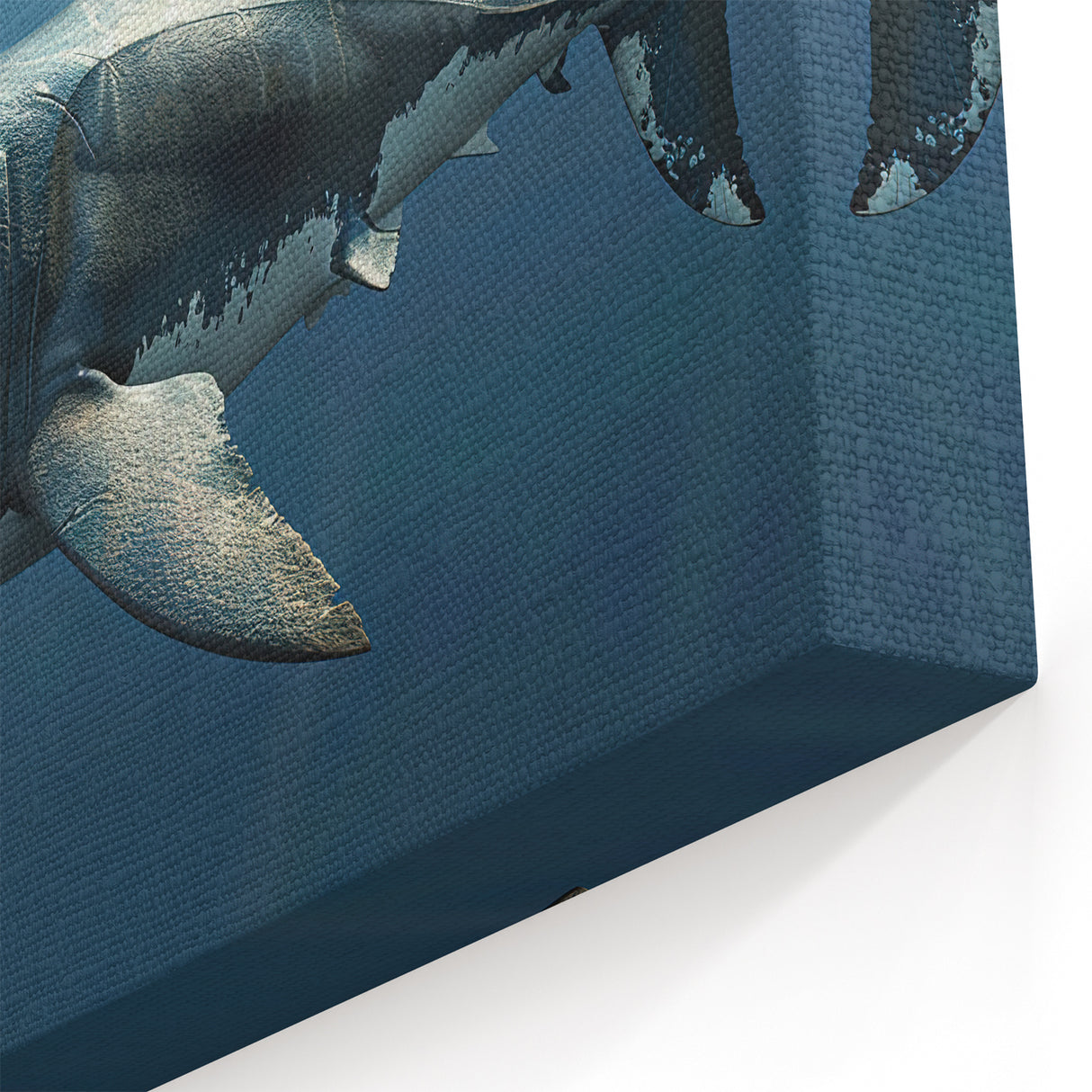 Serene Shark Wall Art - Underwater Marine Life Canvas & Framed Print