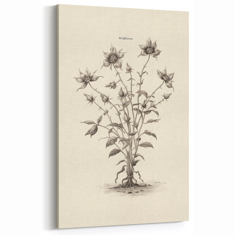 Vintage Botanical Art - Wildflower Ink Sketch Canvas Print