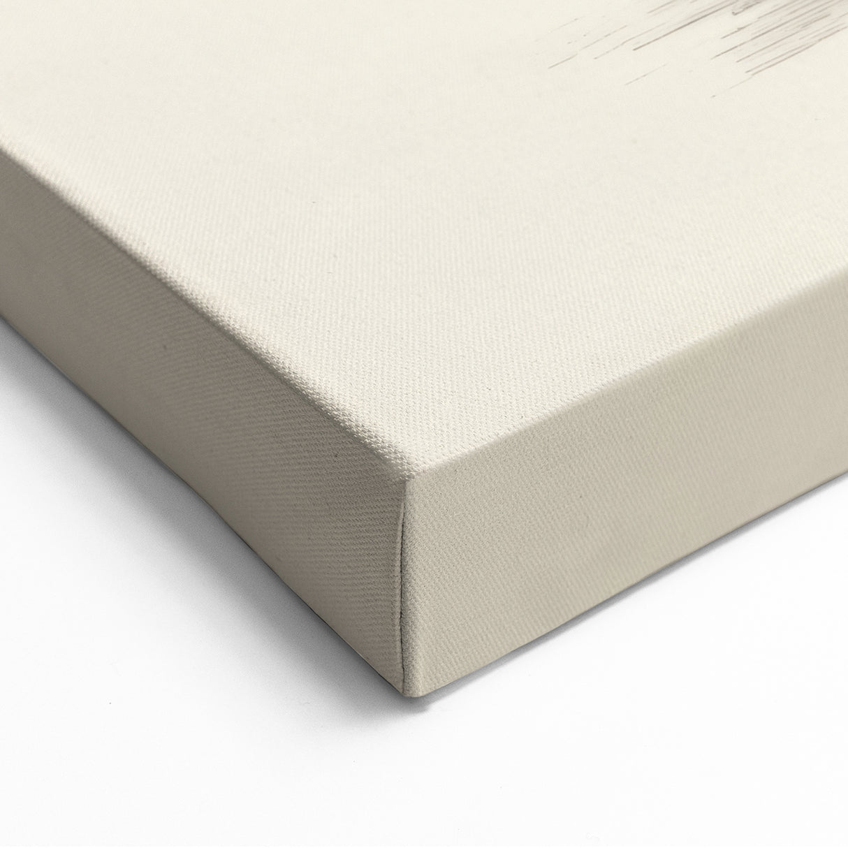 Vintage Botanical Art - Wildflower Ink Sketch Canvas Print