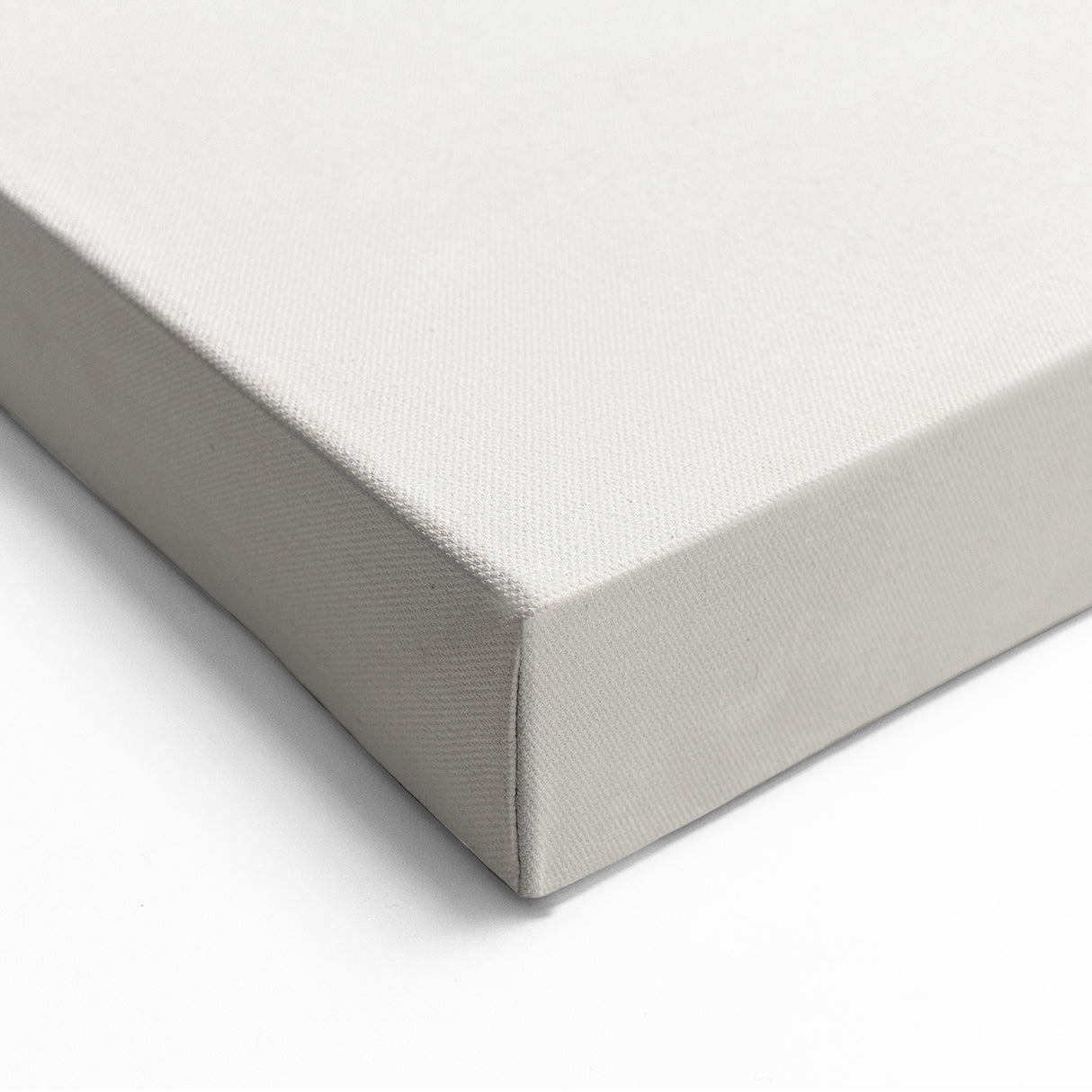 Minimalist Abstract Art: Elegant Floral Design in Neutral Tones